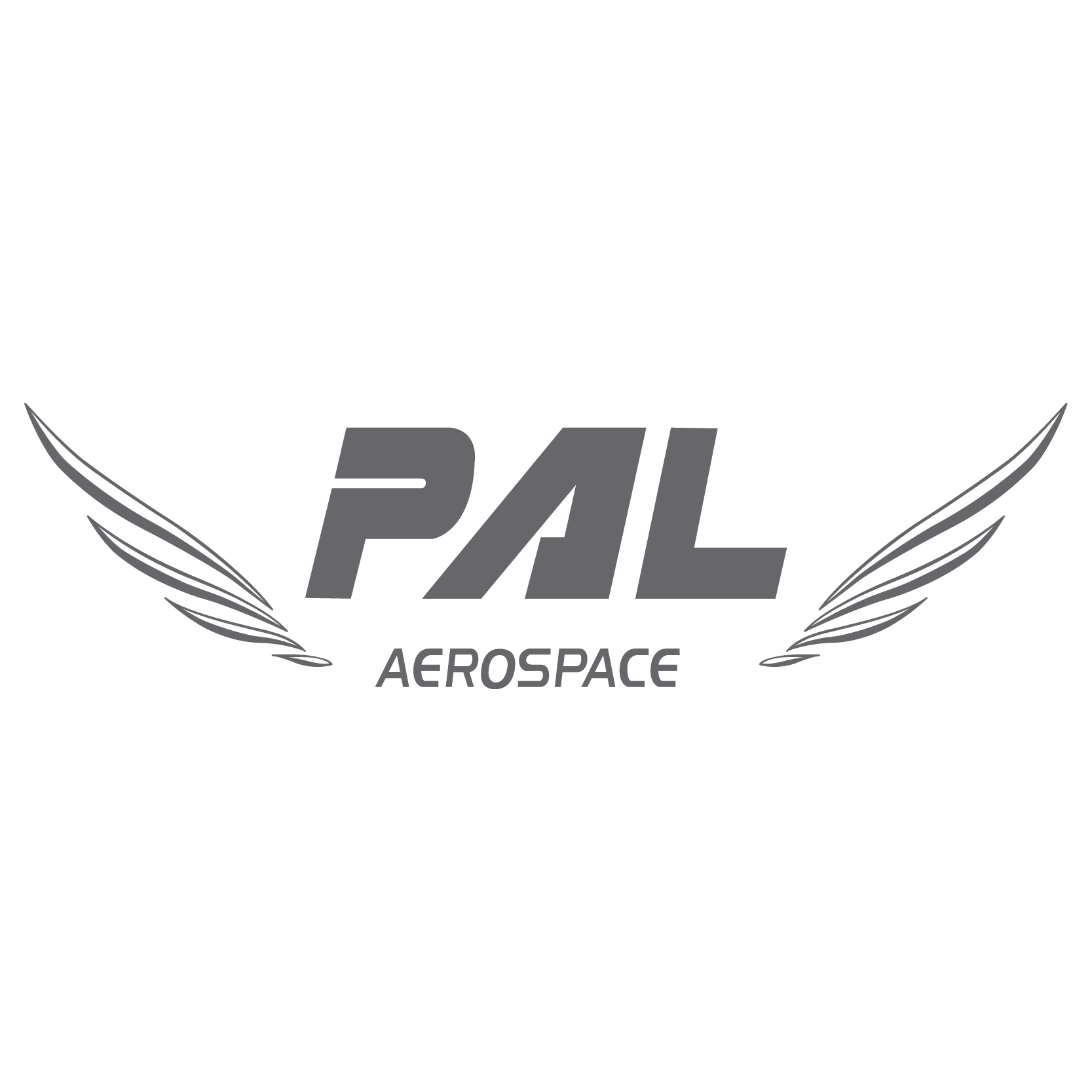 Equipe Pal Aerospace